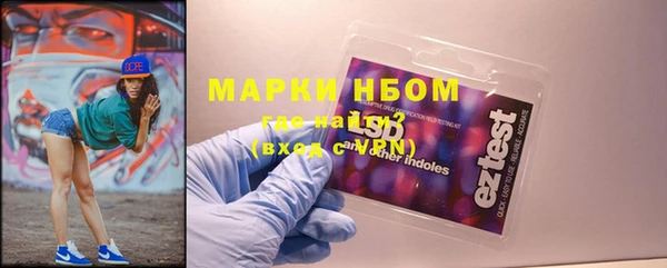 индика Кедровый