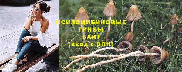 spice Приозерск