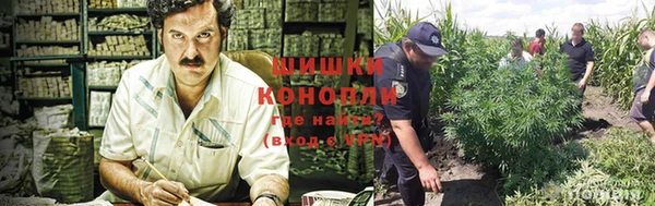 spice Приозерск