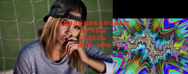 а пвп мука Кукмор