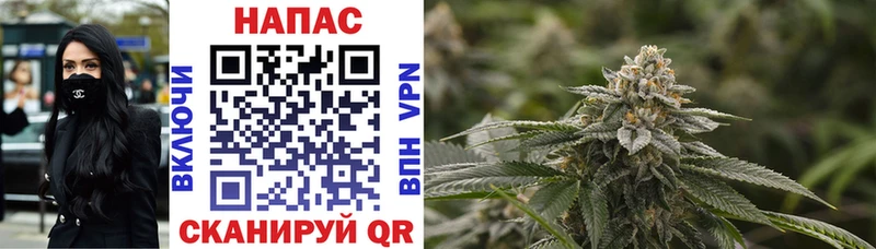 Шишки марихуана OG Kush Костерёво